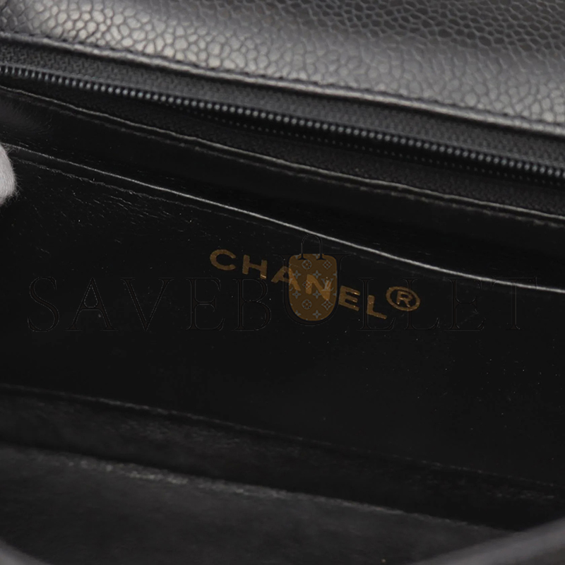 CHANEL CAVIAR SMALL DIANA FLAP BAG 210121 (22*14*7cm)